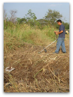 เคลียร์พื้นที่