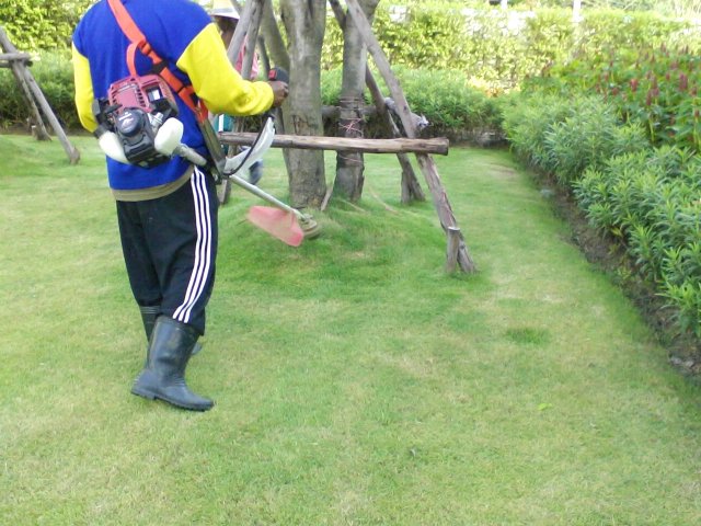ตัดหญ้าและปูหญ้า